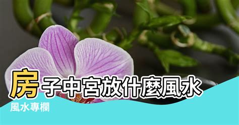 中宮 風水|【風水中的中宮】房子中宮放什麼風水 